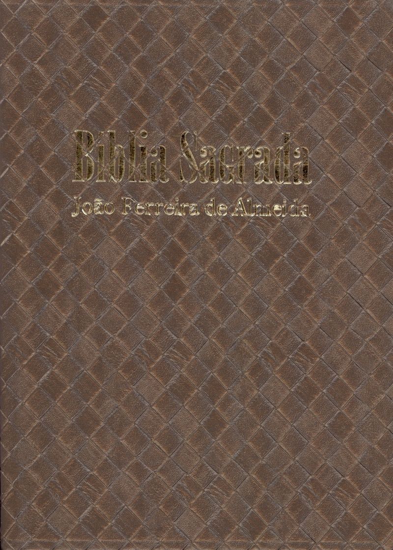 Biblia-Sagrada-Extra-Gigante-RC