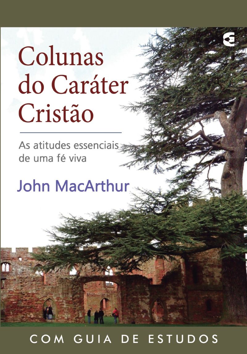 Colunas-do-Carater-Cristao