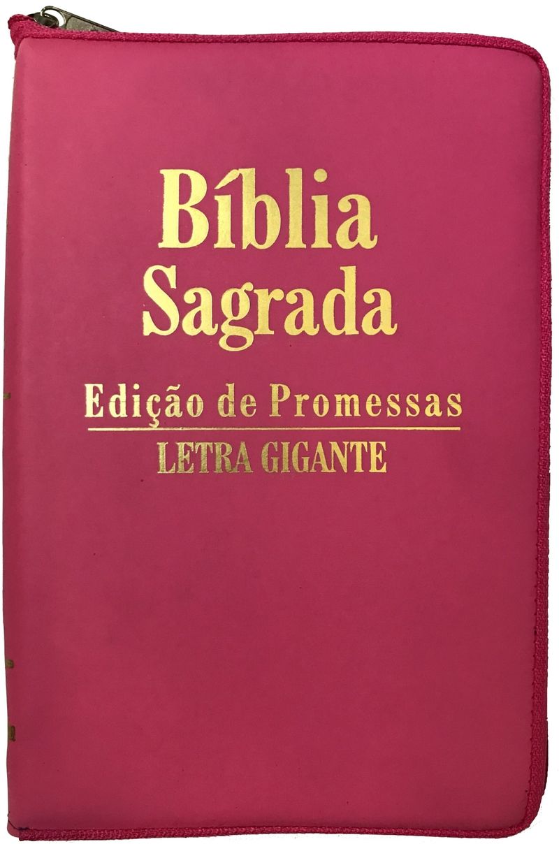 Biblia-Ed-Promessas-letra-gigante-ziper-pink