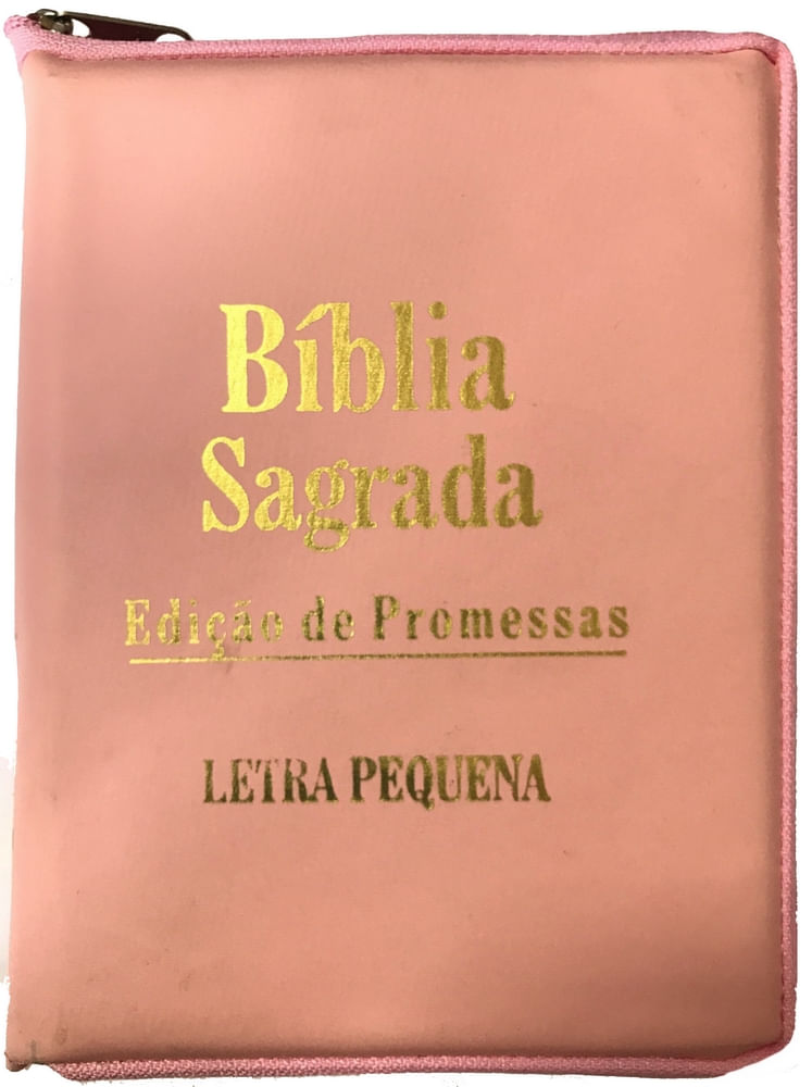 Biblia-Edicao-de-Promessas-Pequena-Rosa
