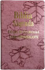 Biblia-Edicao-de-Promessas-Letra-HiperGigante-Folhas-Rosa