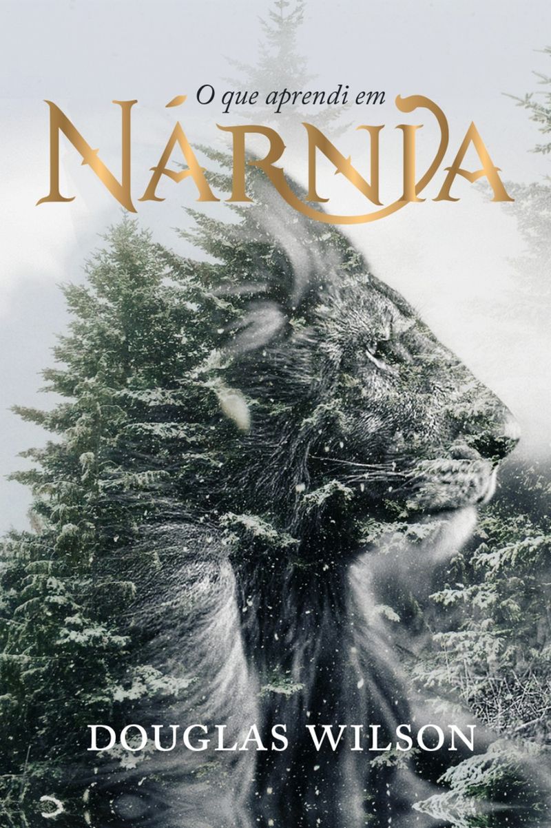O-Que-Aprendi-em-Narnia