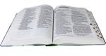Biblia-NA-Letra-Gigante-com-indice-capa-flexivel-