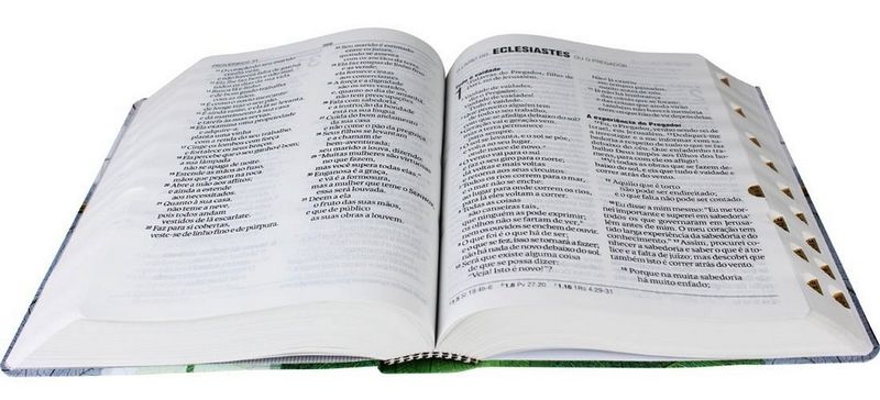 Biblia-NA-Letra-Gigante-com-indice-capa-flexivel