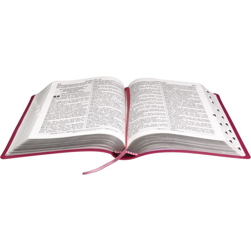 Biblia-NTLH-Letra-Gigante-Luxo-com-indice-Pink