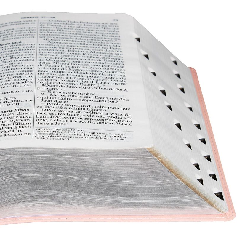 Biblia-NTLH-Letra-Gigante-Luxo-com-indice-Rosa-Claro