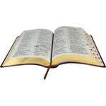 Biblia-Sagrada-NTLH-Letra-Gigante-Marrom-Nobre7899938403327