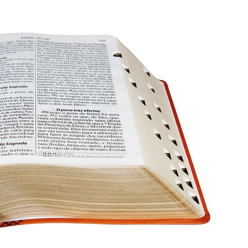 Biblia-NTLH-Letra-Gigante-Luxo-com-indice-Marrom-Claro
