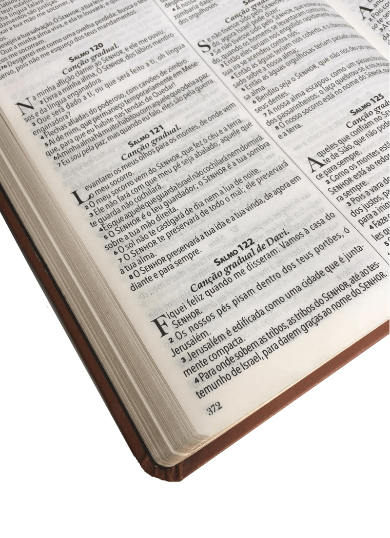 Biblia-King-James-de-1611-Ultra-Fina---Letra-Gigante
