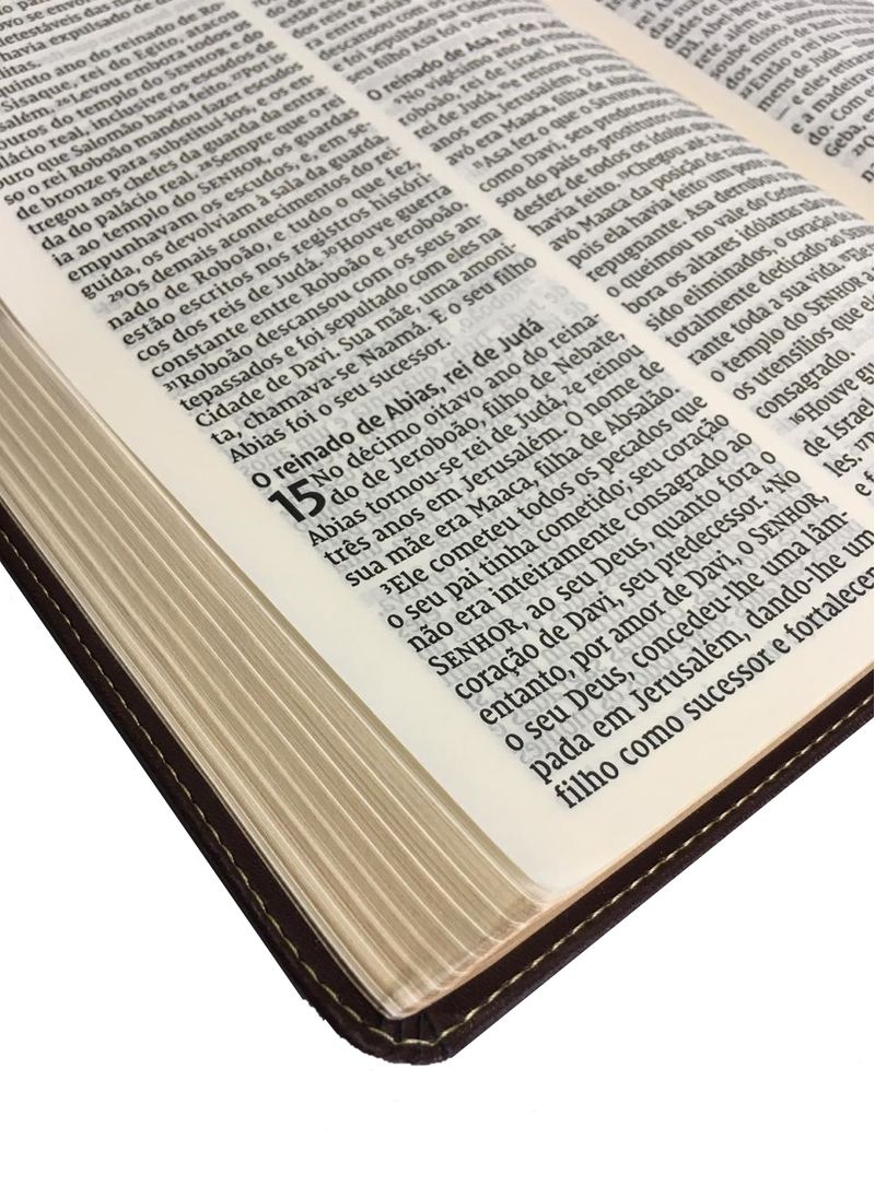 Biblia-Leitura-Perfeita-NVI-Letra-Gigante