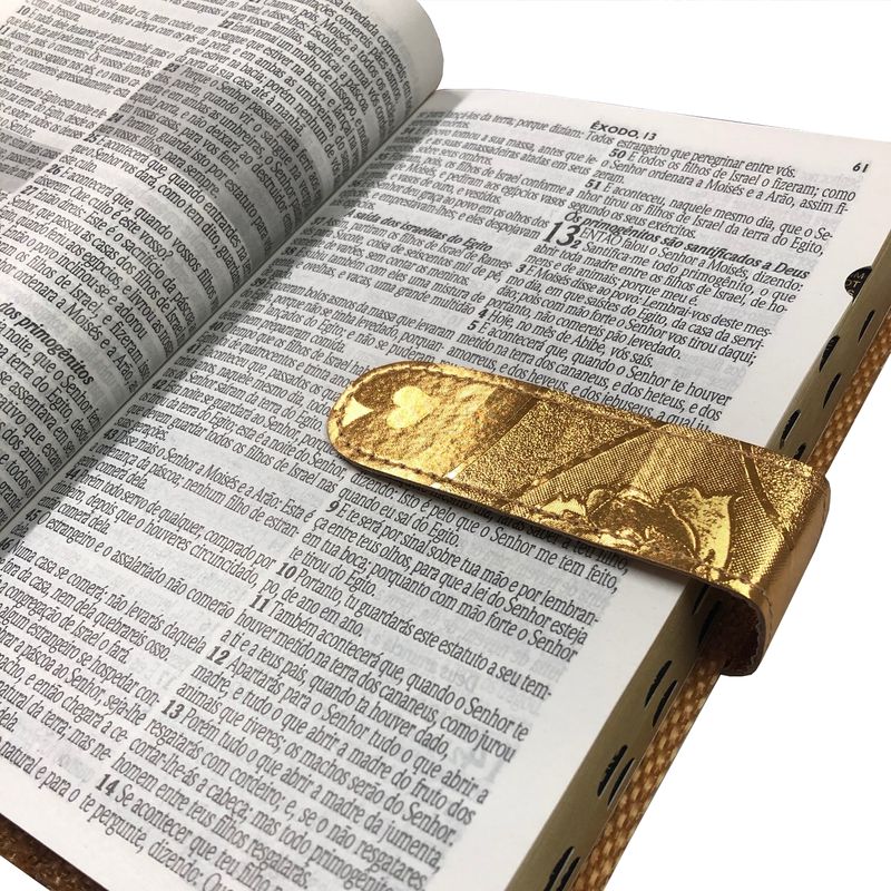 Biblia-e-Harpa-Letra-Hipergigante-Dourada-com-Fecho-Interna