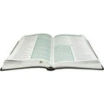 Biblia-de-estudo-esquematizada-