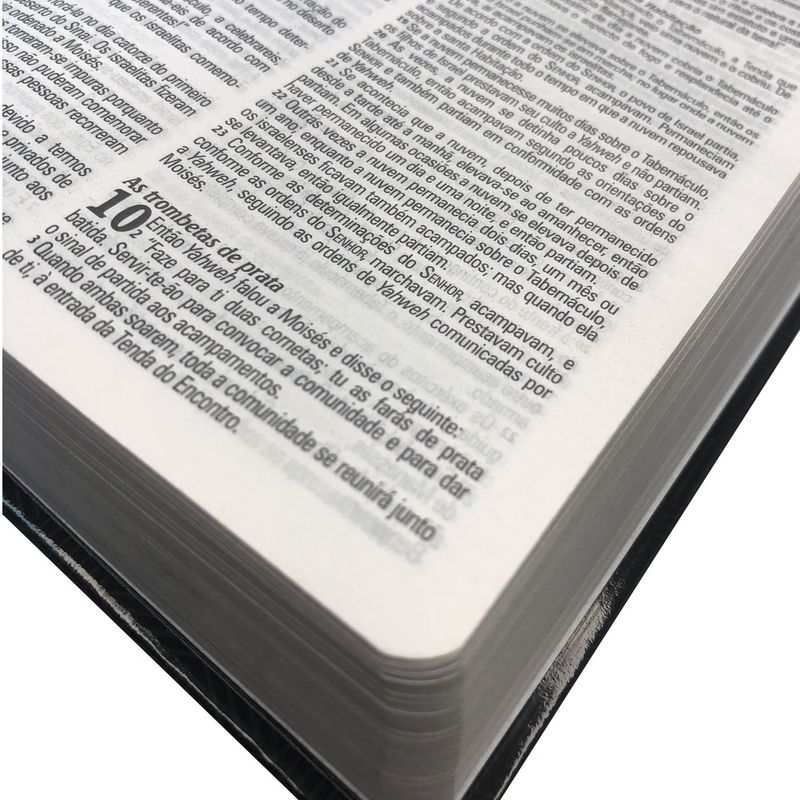 biblia-king-james-atualizada-leao-coroa-marrom