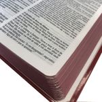 biblia-king-james-atualizada-cruz-vermelha