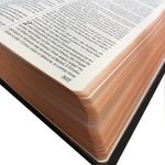 Biblia-King-James-1611-com-Concordancia-