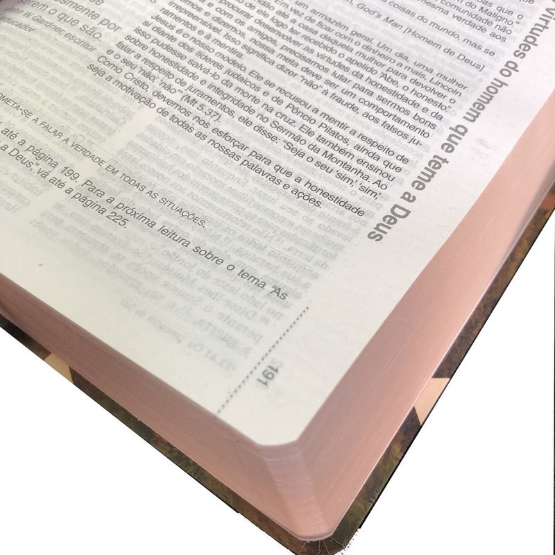 Biblia-NVI-Nova-Ortografia-Semi-Luxo-Por-do-Sol