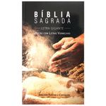 Biblia-RC-Letra-Gigante-Brochura-Pao