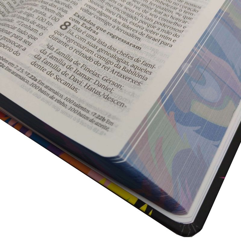 Biblia-NVT-Lion-Colors---Letra-Grande---SoftTouch