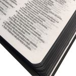 Biblia-NAA-Leao-Cruz---Sankto