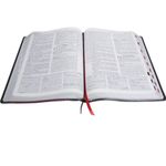 Biblia-de-Estudo-Plenitude-RC