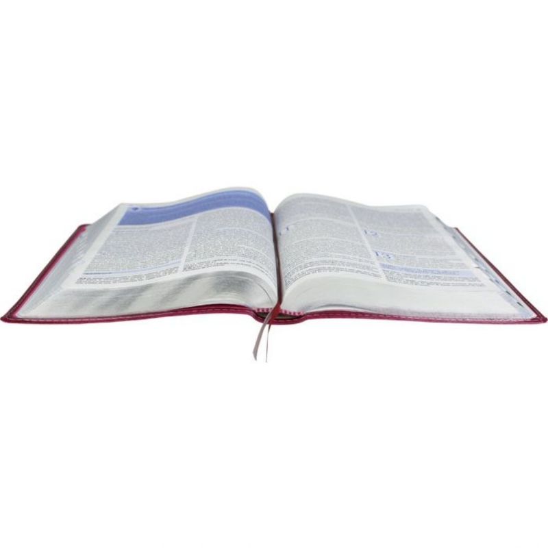 Biblia-da-Escola-Biblica