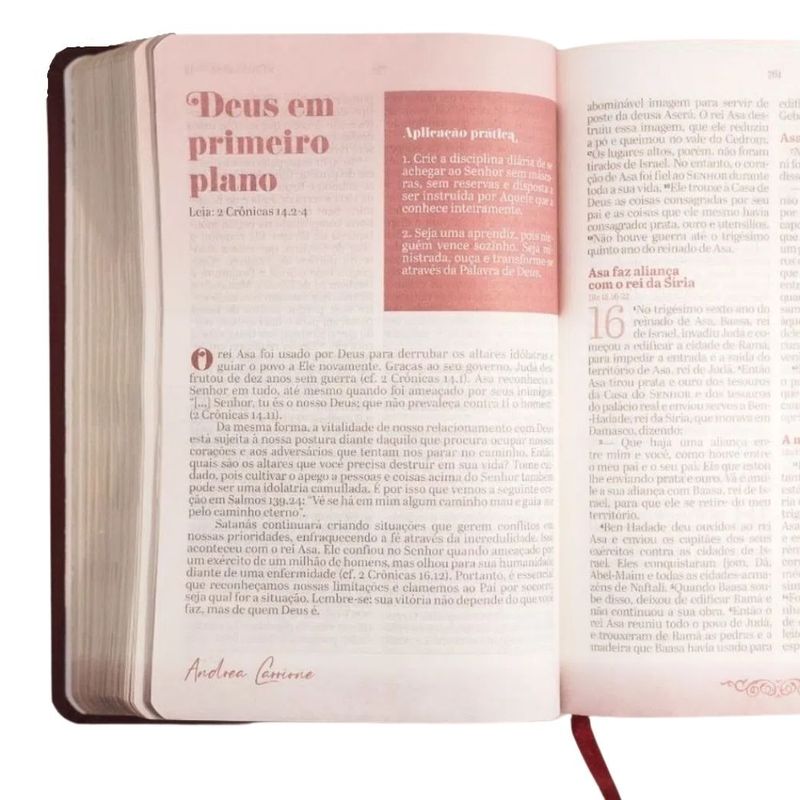 Biblia-de-Toda-Mulher-NAA