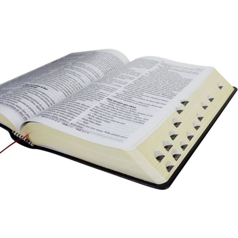 Biblia-Nova-Almeida-Atualizada-Letra-Grande
