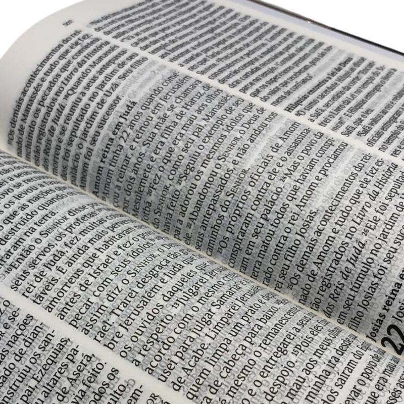 Biblia-Sagrada-NVT-Letra-Grande-Capa-Dura