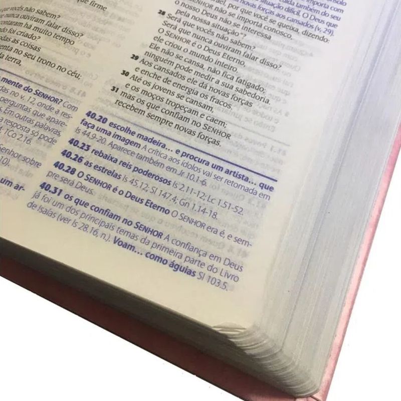 Biblia-de-Estudo-NTLH-Media