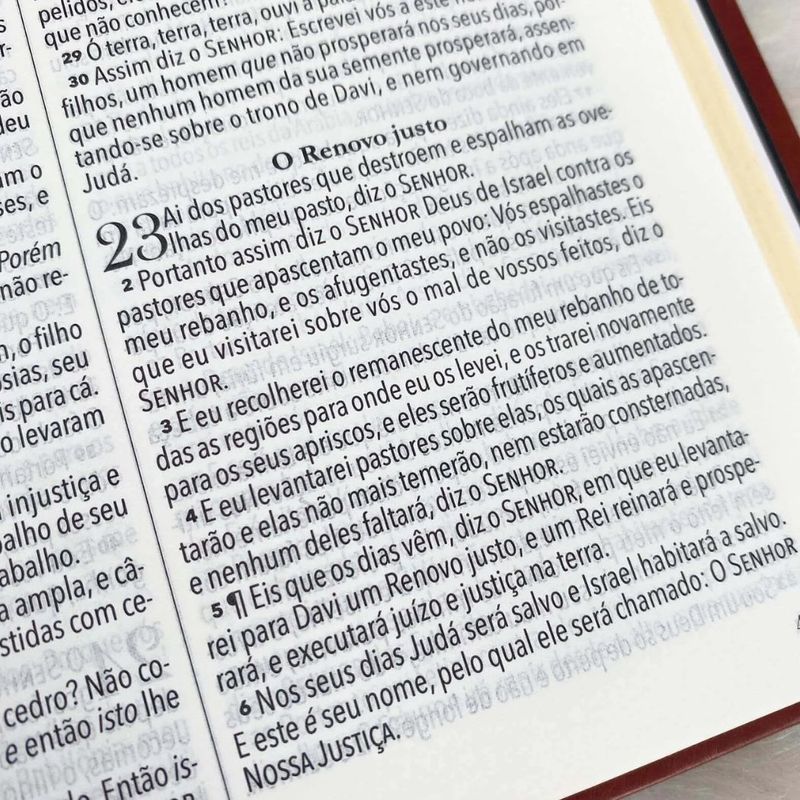 Biblia-King-James-1611-Ultra-Fina-Ampliada---Marrom