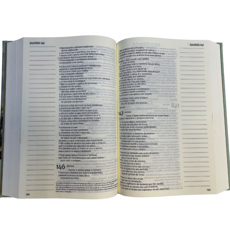Biblia-NVI-com-Espaco-para-Anotacoes-Dente-de-Leao---Capa-Dura---Tecido