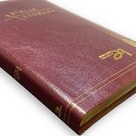Biblia-Sagrada-Almeida-Seculo-21---Couro-Bonded