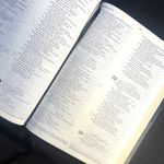 Biblia-Bilingue-NVINIV-Preta