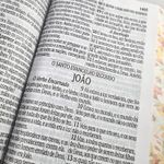 Biblia-RC-Letra-Jumbo-Compacta---C-Harpa-e-Corinhos---Coracao-Floral---Capa-Dura---CPP