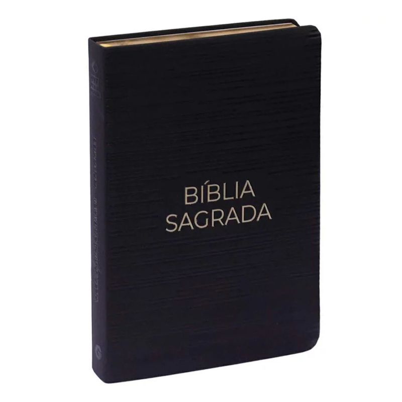 Biblia-NVT-Letra-Gigante