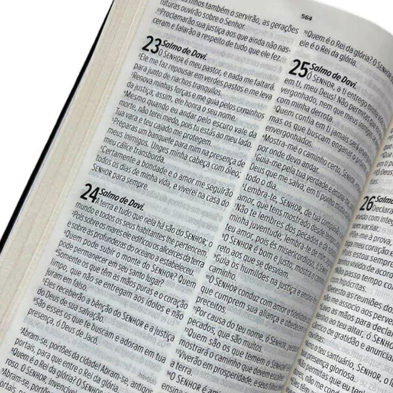 Biblia-NVT-Letra-Gigante