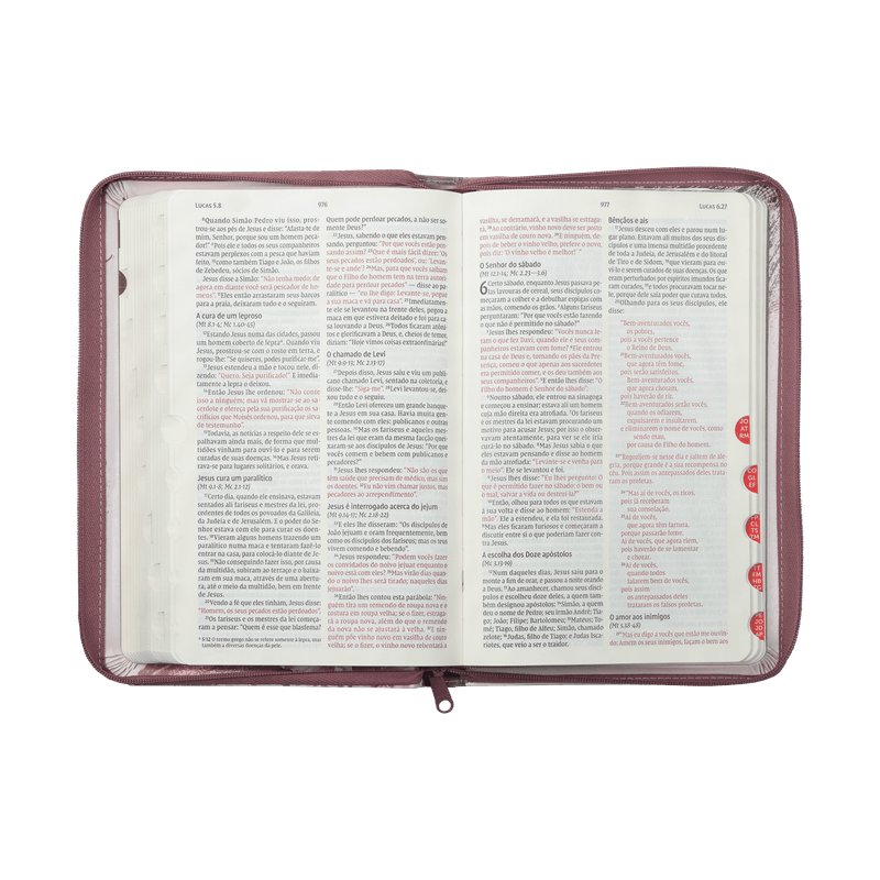 Biblia-NVI-Couro-Soft---Palavras-de-Jesus-em-Vermelho---Rosa-com-Ziper