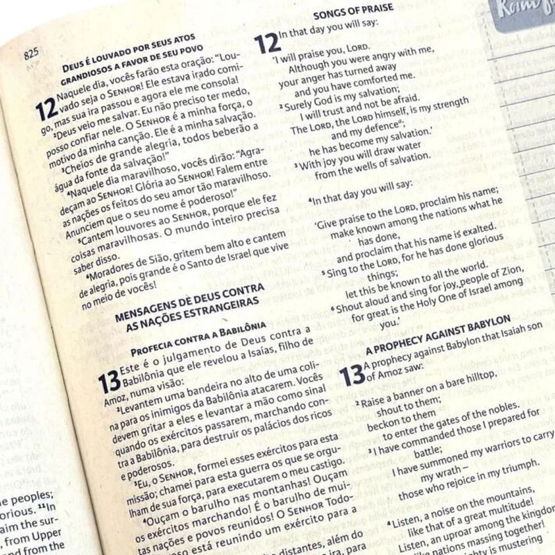Biblia-Bilingue-NBV-NIV