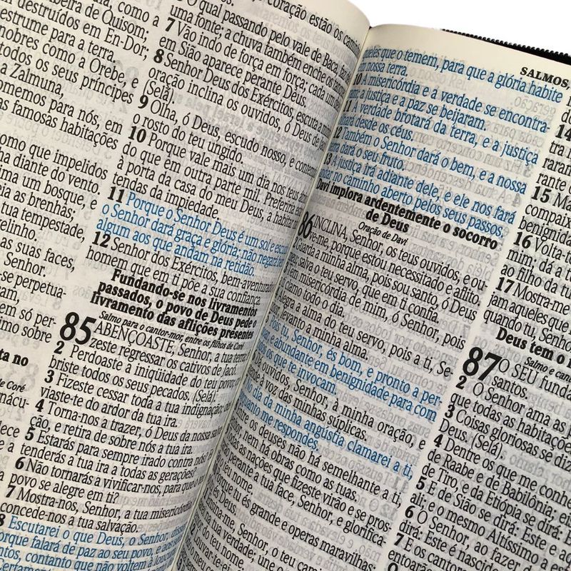 Biblia-Edicao-de-Promessas-Letra-Jumbo-Com-Ziper